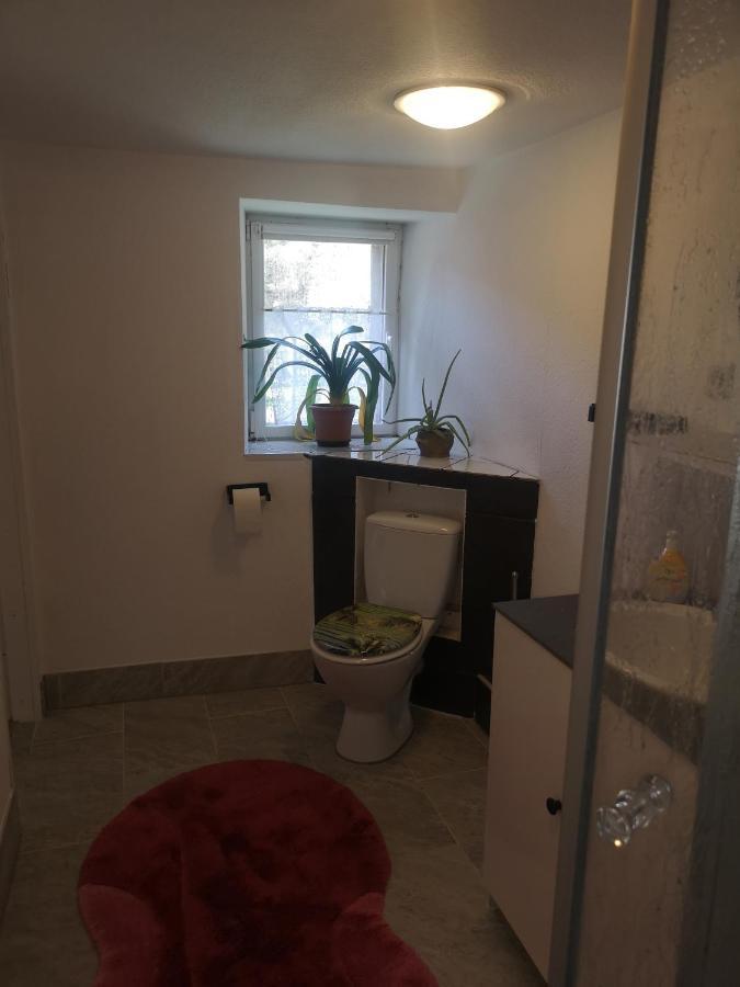 Ferienhaus Salmtal Himmerod Großlittgen Buitenkant foto