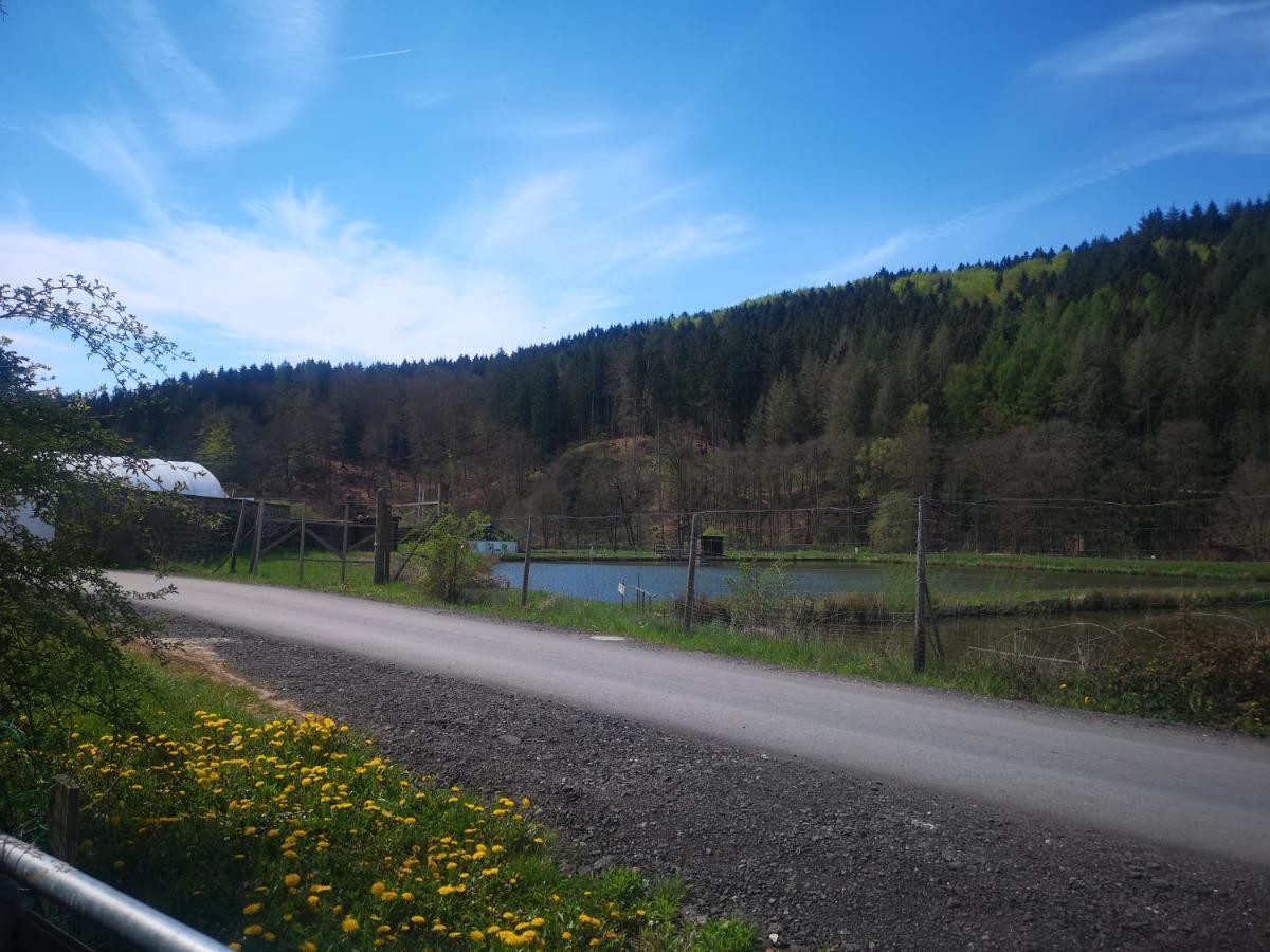Ferienhaus Salmtal Himmerod Großlittgen Buitenkant foto