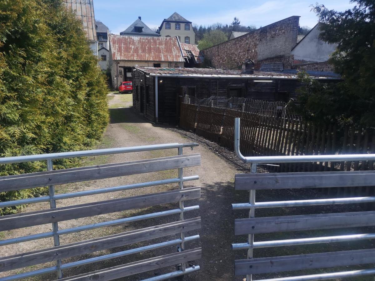 Ferienhaus Salmtal Himmerod Großlittgen Buitenkant foto