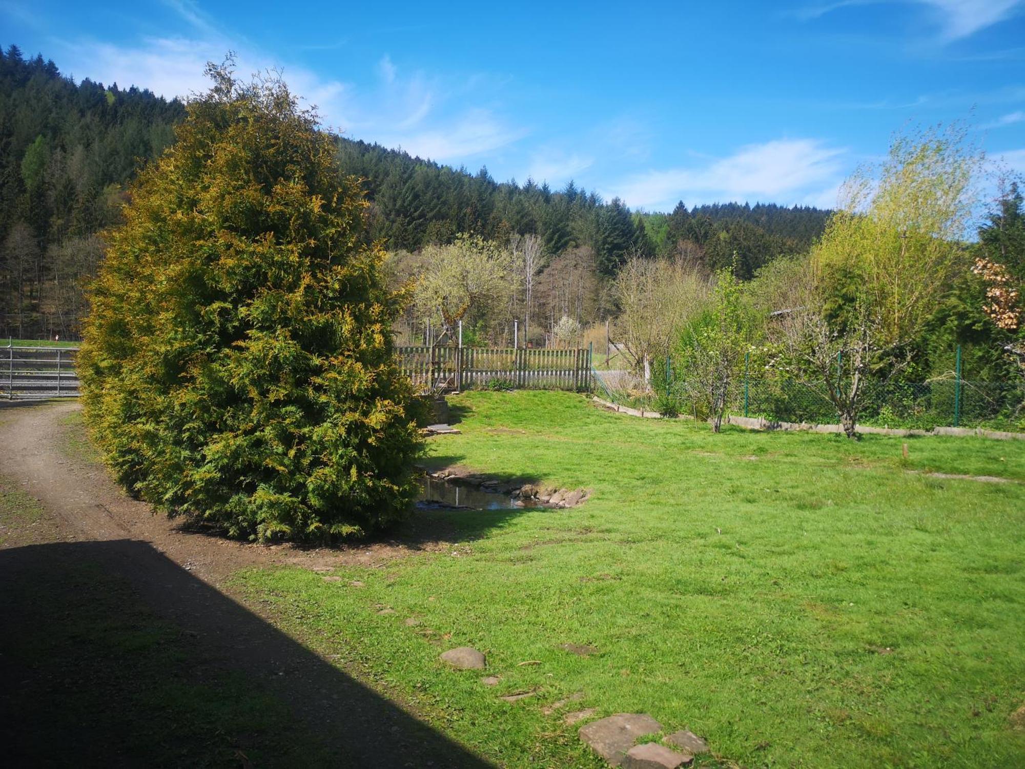 Ferienhaus Salmtal Himmerod Großlittgen Buitenkant foto