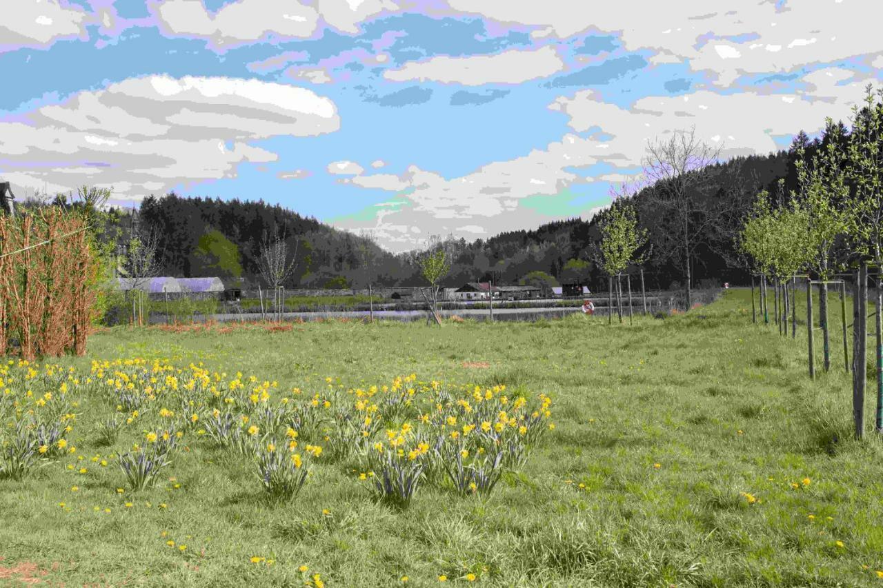 Ferienhaus Salmtal Himmerod Großlittgen Buitenkant foto