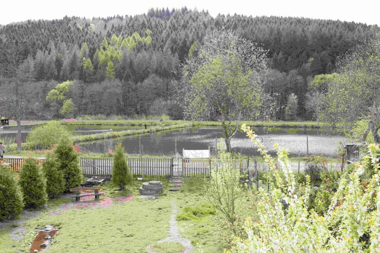 Ferienhaus Salmtal Himmerod Großlittgen Buitenkant foto
