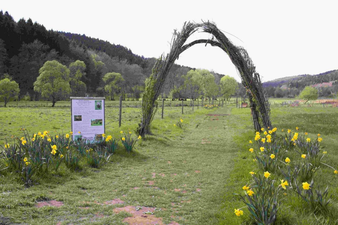 Ferienhaus Salmtal Himmerod Großlittgen Buitenkant foto