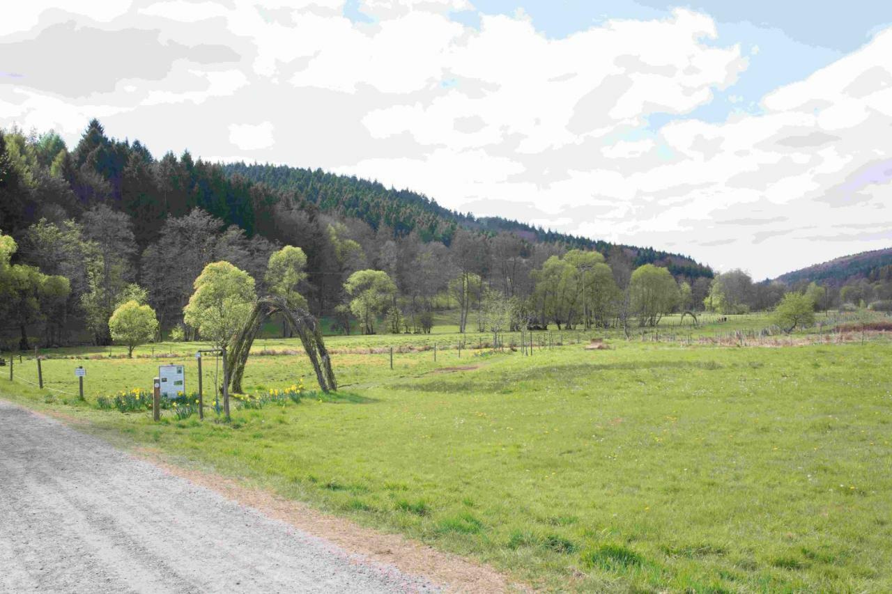 Ferienhaus Salmtal Himmerod Großlittgen Buitenkant foto