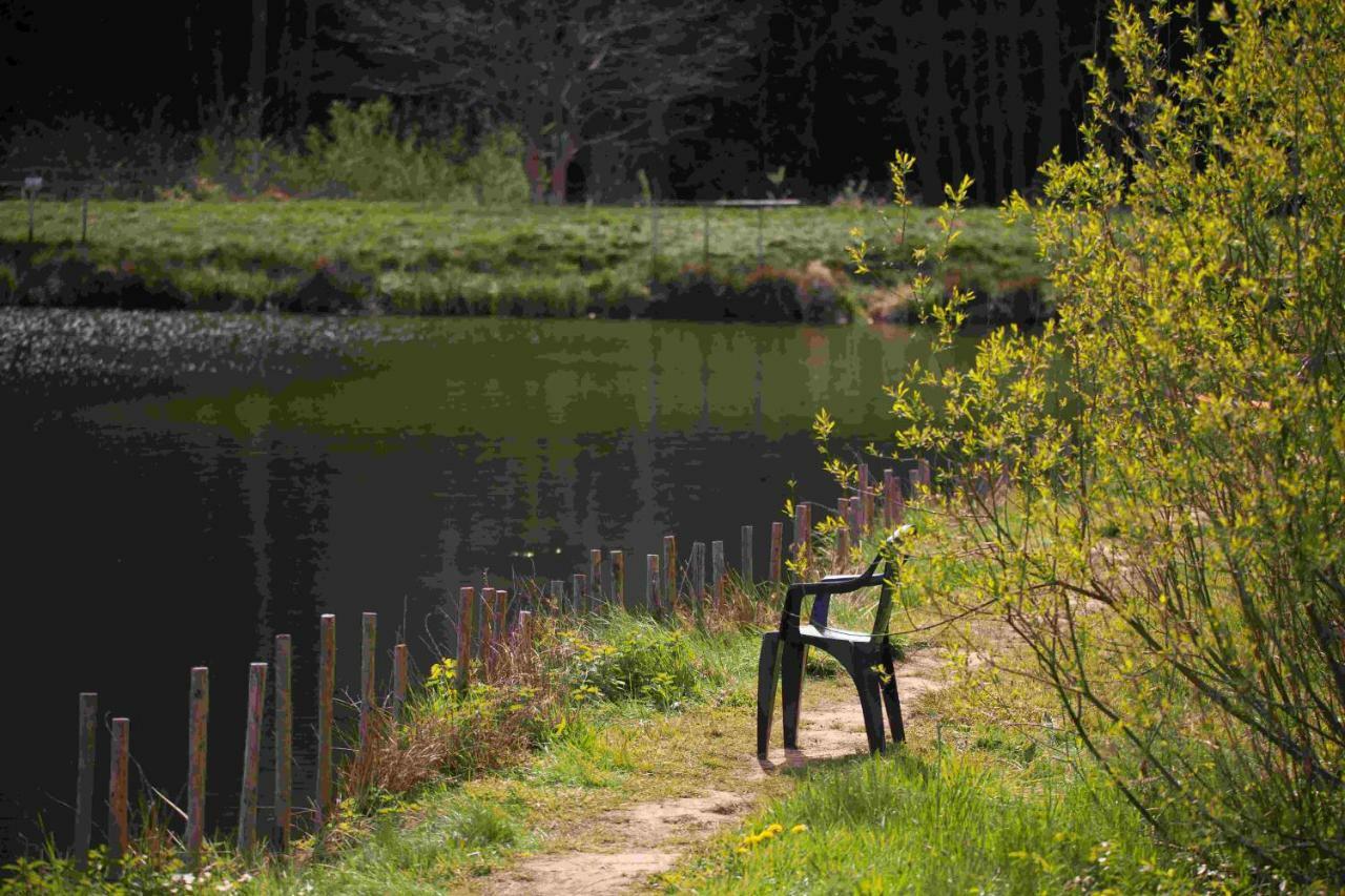 Ferienhaus Salmtal Himmerod Großlittgen Buitenkant foto